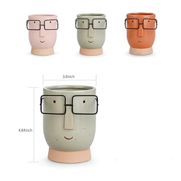 Royal_Z Face Planter - Cute Cartoon Design for Gifts