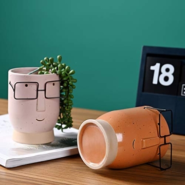 Royal_Z Face Planter - Cute Cartoon Design for Gifts