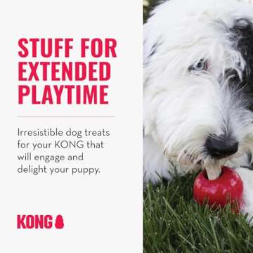 KONG Classic Toy & Ziggies Treats Combo Pack - Durable Chew Toy for Dogs - with Ziggies Chicken-Flavored Treats - Dog Accessories for Fun & Health - for Small Dogs