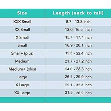 Comfortable Dog Recovery Suit for Surgery | Suitical