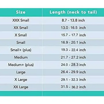 Comfortable Dog Recovery Suit for Surgery | Suitical