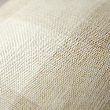 Farmhouse Buffalo Check Pillow Covers Set of 2