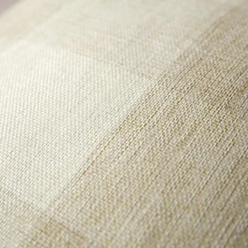 Farmhouse Buffalo Check Pillow Covers Set of 2