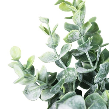 Winlyn 33 Pcs Eucalyptus Stems for Weddings and Home Decor