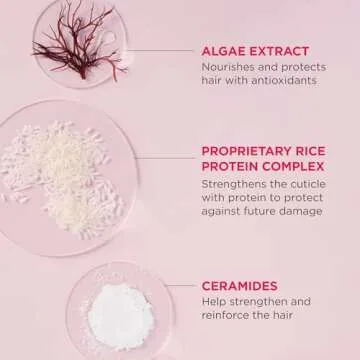 Briogeo Rich Rice Shampoo Concentrate for Damaged Hair