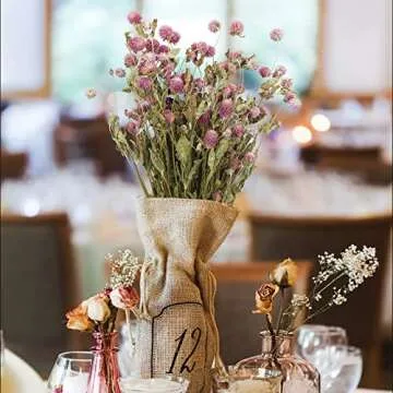 CISDUEO Dried Flower Pink Globe Amaranth Dried Flowers Bundles Natural Dried Flowers Bouquet for Wedding Table Vase Decor Boho DIY Wreath Floral Home Office Party Garden Decoration