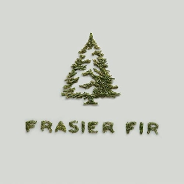 Thymes Frasier Fir Fragrant Oil - Long Lasting & Refreshing