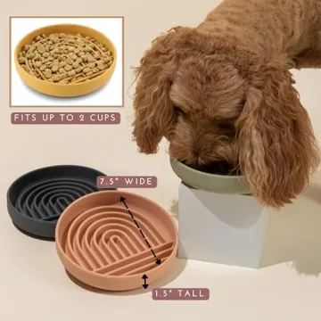 Should We Go? Slowdown Bowl - Silicone Slow Feeder for Dogs