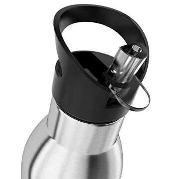 Invigorated Water pH Active Insulated Water Bottle - Filtered Alkaline Water Bottle - Stainless Steel Water Bottle - Includes Alkaline Water Filter, Plus Sports Gym Lid - Double Walled Metal - 650ml