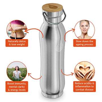 Invigorated Water pH Active Insulated Water Bottle - Filtered Alkaline Water Bottle - Stainless Steel Water Bottle - Includes Alkaline Water Filter, Plus Sports Gym Lid - Double Walled Metal - 650ml