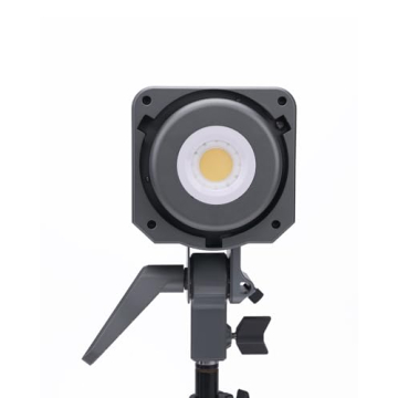 Amaran 100dS LED Video Light for Professional Lighting Needs