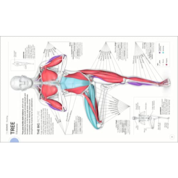 Science of Yoga Anatomy and Physiology for Every Yogi