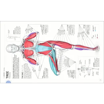 Science of Yoga Anatomy and Physiology for Every Yogi