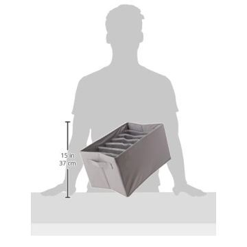 Amazon Basics Gray Drawer Organizers 2-Pack for Underwear Socks