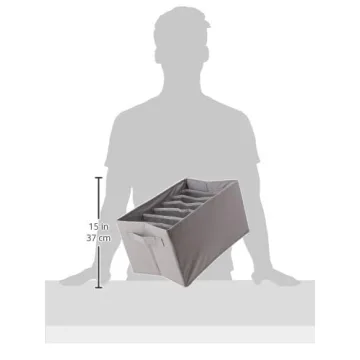 Amazon Basics Gray Drawer Organizers 2-Pack for Underwear Socks