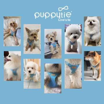 Puppytie No Pull XS Dog Harness with Adjustable Leash