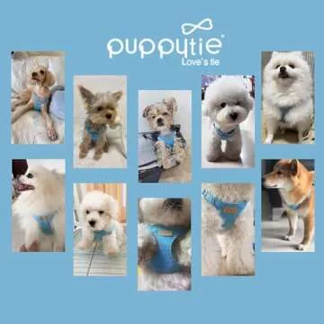 Puppytie No Pull XS Dog Harness with Adjustable Leash