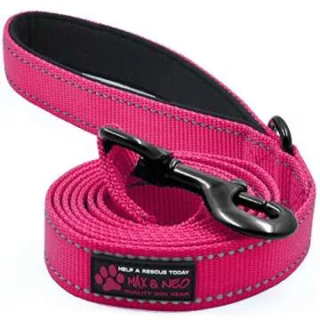 Max and Neo Reflective Nylon Dog Leash - Durable, Comfortable, and Charitable (Pink, 6x1)