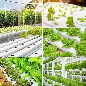 VIVOSUN 3 Inch Net Pots for Healthy Plant Growth