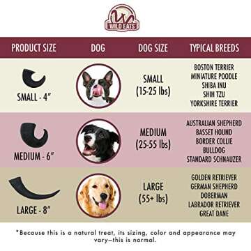 Wild Eats Water Buffalo Horn No Hide Dog Bones & Chews (All Natural Single Source Protein, Grain Free Treat, Long Lasting Dog Chews & Bones (2 Pack, Medium-Horn)
