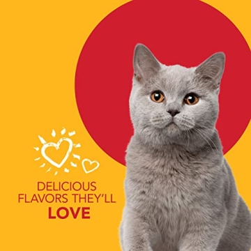 Petrodex Cat Dental Care Kit - Clean Teeth & Fresh Breath