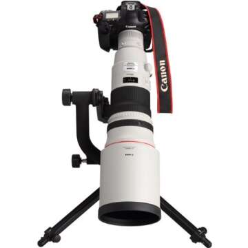 Canon EF 500mm f/4L IS II USM Lens for Professionals