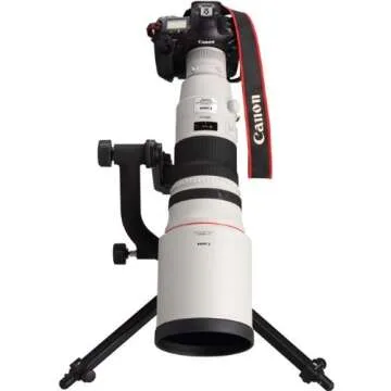 Canon EF 500mm f/4L IS II USM Lens for Professionals