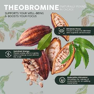 Almah Cacao Cold Brew Variety Pack - Coconut Latte & Original Dark Flavor - Plant Based Coffee Alternative Natural Energy Drink, Dairy-Free, Refreshing Coffee Substitute (6 Pack)