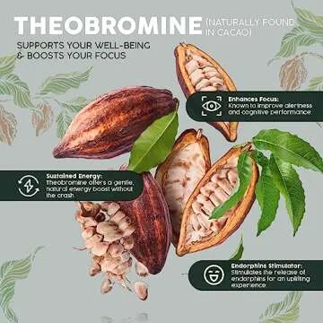 Almah Cacao Cold Brew Variety Pack - Coconut Latte & Original Dark Flavor - Plant Based Coffee Alternative Natural Energy Drink, Dairy-Free, Refreshing Coffee Substitute (6 Pack)