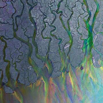 An Awesome Wave by alt-J – A Stunning Musical Journey in Vinyl and CD