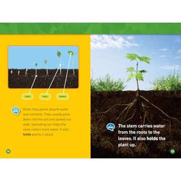 Plants (National Geographic Kids Readers, Level 1/Co-Reader) - Discover Nature's Wonders!