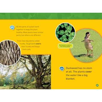 Discover Plants with National Geographic Kids Readers - Level 1