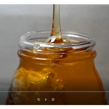 Pure Raw Tupelo Honey | Winter Park Honey Delight