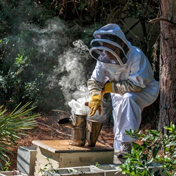 Pure Raw Tupelo Honey | Winter Park Honey Delight