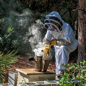 Pure Raw Tupelo Honey | Winter Park Honey Delight