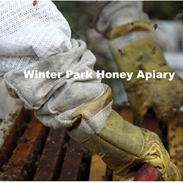 Pure Raw Tupelo Honey | Winter Park Honey Delight
