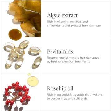 Briogeo Travel Hair Care Kit - Repair & Hydrate 4-Piece Set