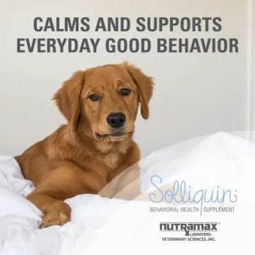 Buy Solliquin Calming Supplement for Dogs 60 Tablets