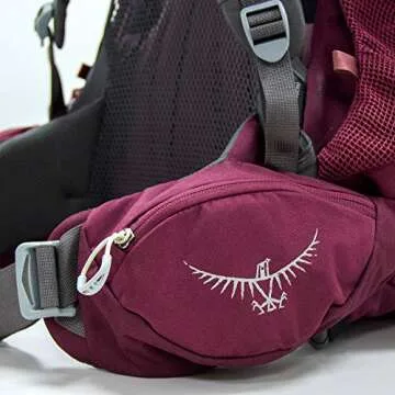 Osprey Renn 65L Women's Backpacking Backpack, Aurora Purple