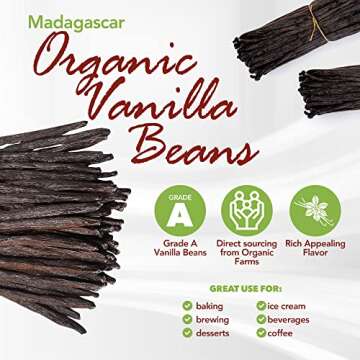 11 Madagascar Organic Vanilla Beans Grade A - Fresh Gourmet Pods for Cooking