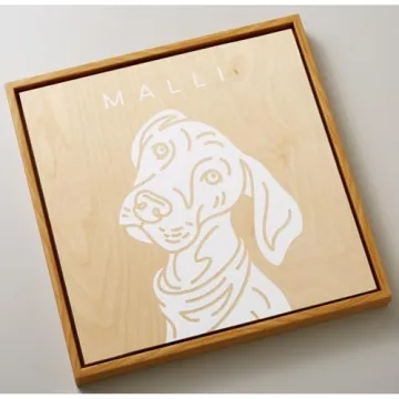 Cricut Maker Bundle with Premium Vinyl & Accessories