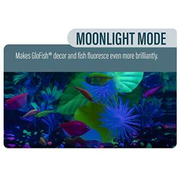 GloFish Betta Shadowbox Aquarium Kit - Stunning LED Display