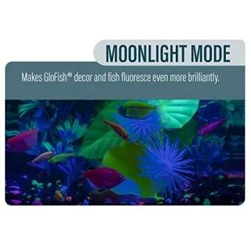 GloFish Betta Shadowbox Aquarium Kit - Stunning LED Display