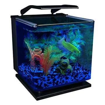 GloFish Betta Shadowbox Aquarium Kit - Stunning LED Display