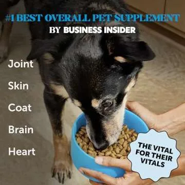 PetHonesty Omega 3 Fish Oil Supplement for Dogs & Cats (32oz) - Wild Caught Omega 3 Fish Oil for Ski...