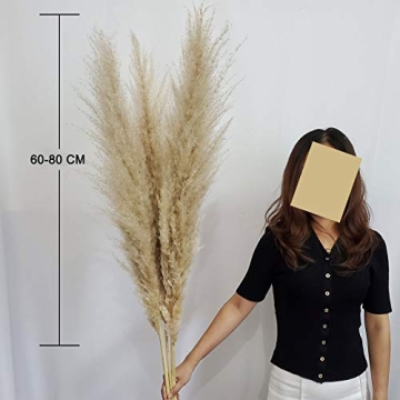 48" Pampas Grass for Elegant Wedding and Home Decor