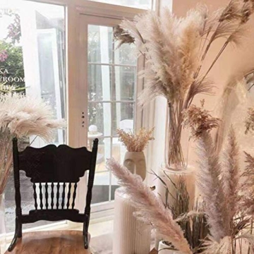 48" Pampas Grass for Elegant Wedding and Home Decor