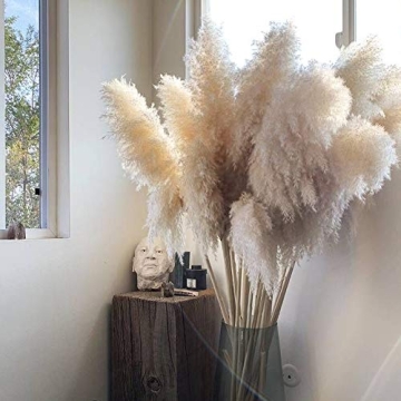 48" Pampas Grass for Elegant Wedding and Home Decor