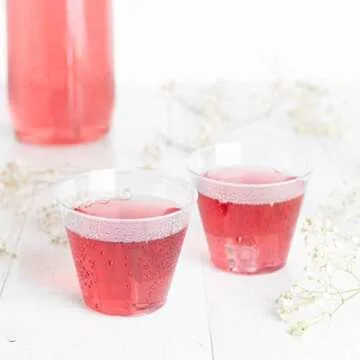 Stylish 9 oz Disposable Plastic Party Cups - 100 Count