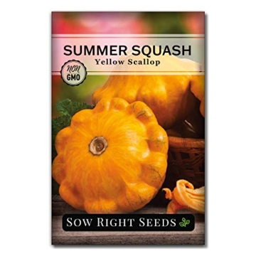 Sow Right Seeds Yellow Scallop Squash Seeds - Tasty